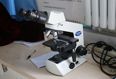 Olympus CX31三目显微镜
