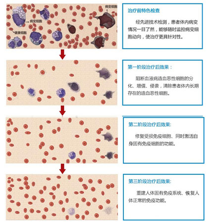 济南血液病医院.jpg